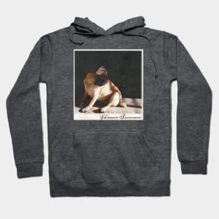 Forever Summer - Polaroid Hoodie